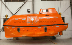 6.5m Totally Enclosed Lifeboat ( NM65F/C )