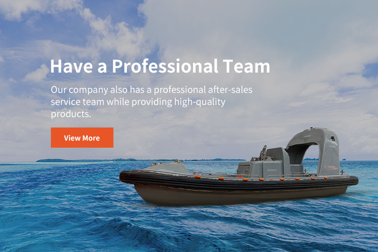 Have-a-Professional-Team