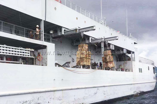 Hydraulic-Telescopic-Davit-2